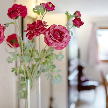 דירה Au Petit Chevrot - Garden