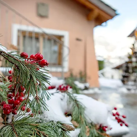 Au Petit Chevrot - Garden דירה
